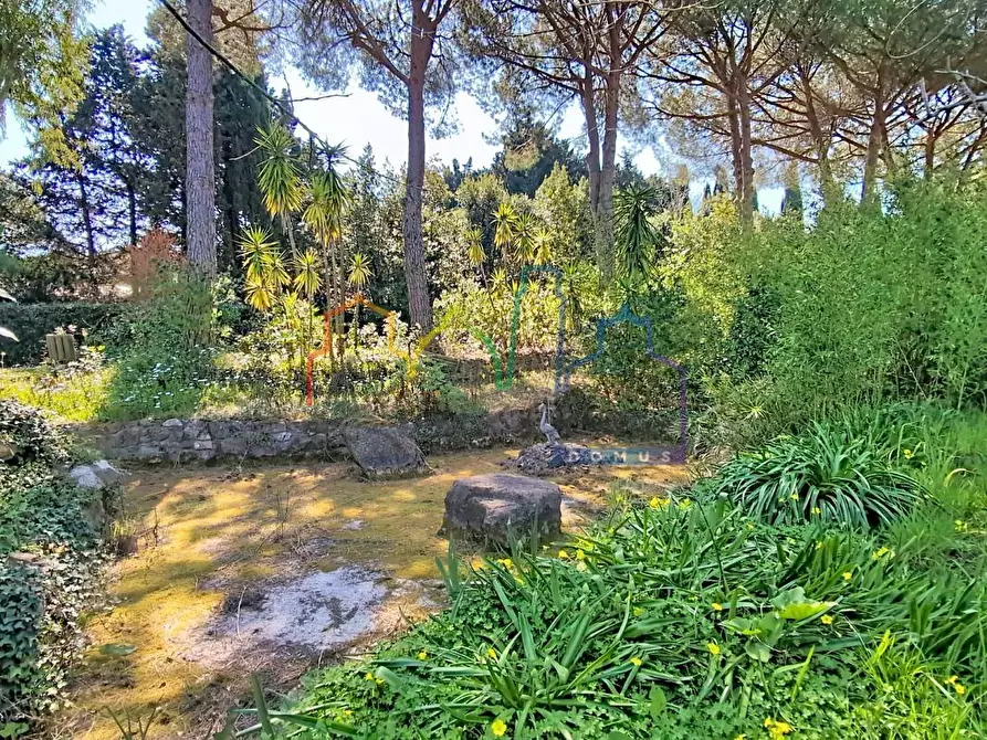 Immagine 30 di Villa in vendita  a Livorno