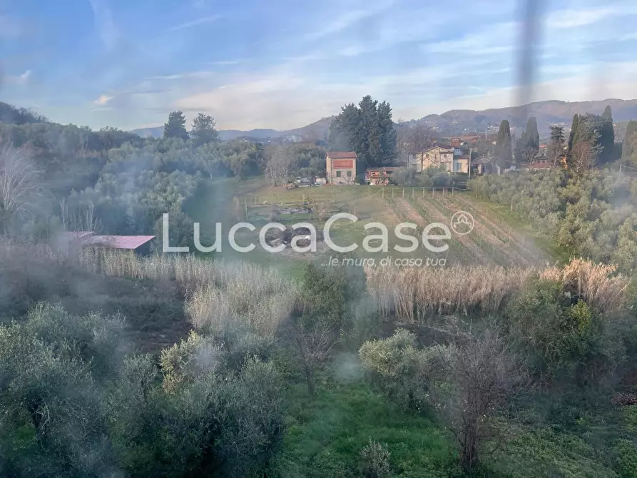 Immagine 14 di Casa colonica in vendita  a Lucca