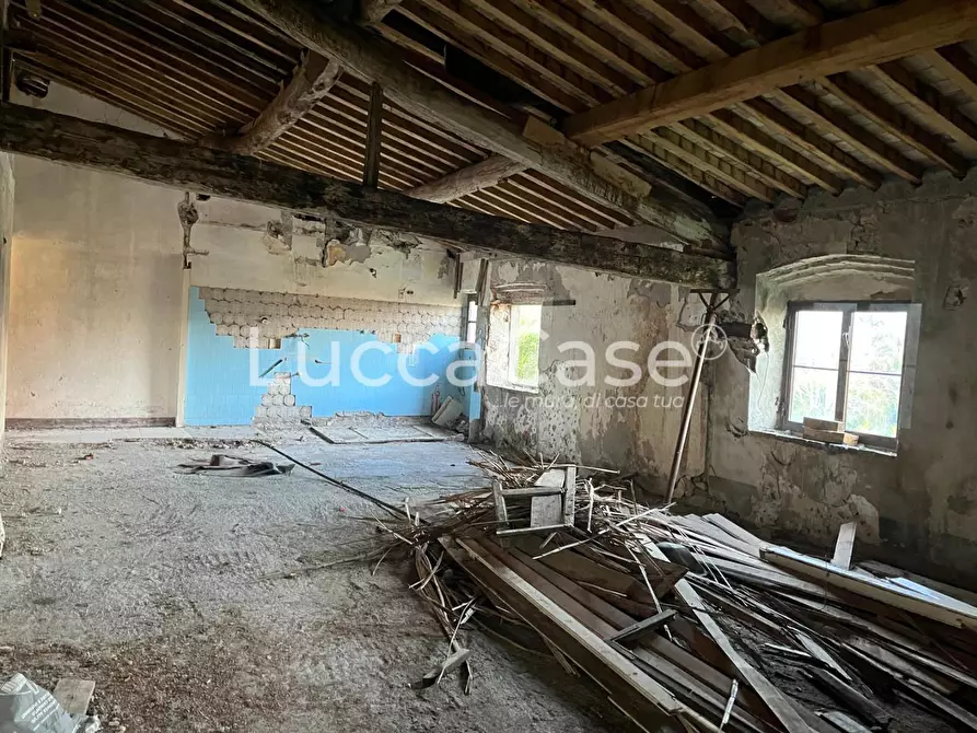 Immagine 13 di Casa colonica in vendita  a Lucca