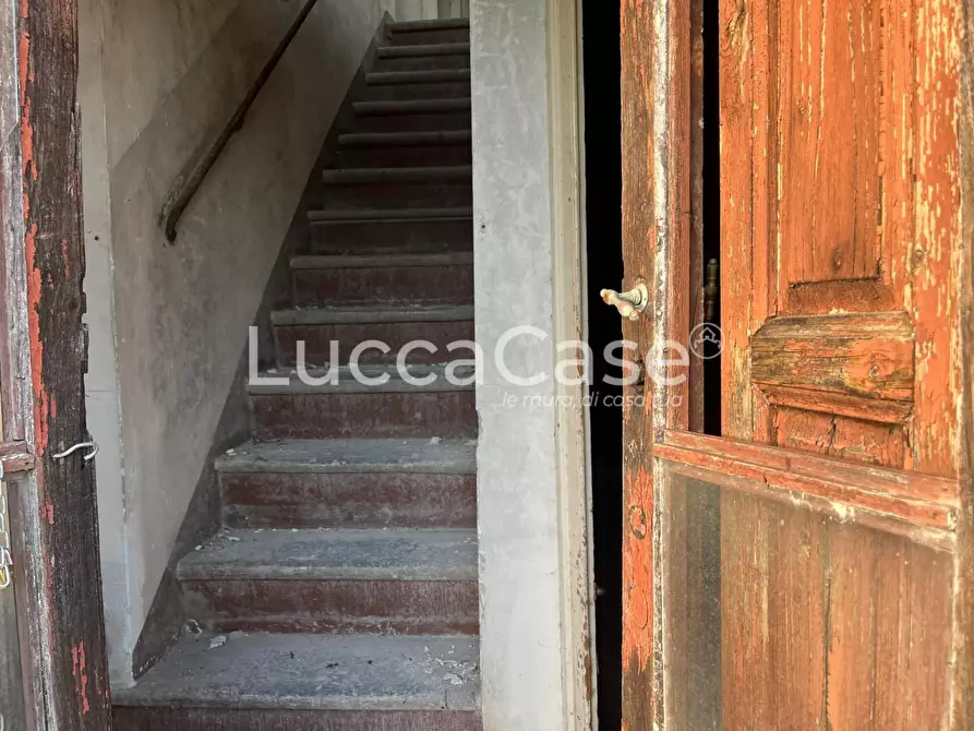 Immagine 9 di Casa colonica in vendita  a Lucca