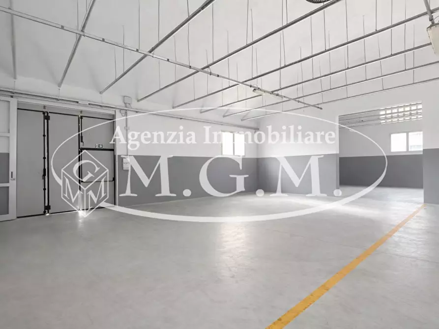 Immagine 9 di Capannone industriale in affitto  a Santa Croce Sull'arno