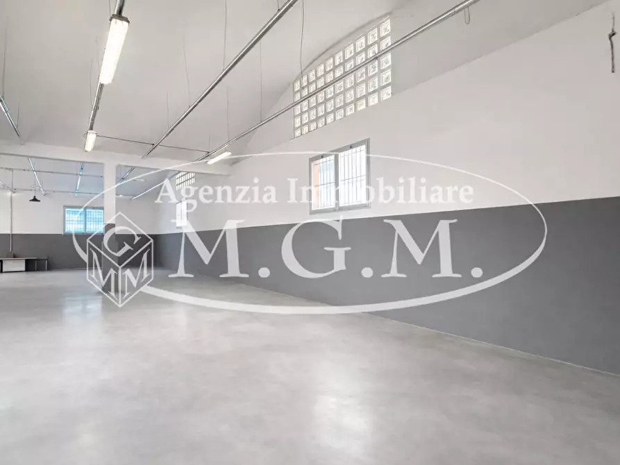 Immagine 11 di Capannone industriale in affitto  a Santa Croce Sull'arno