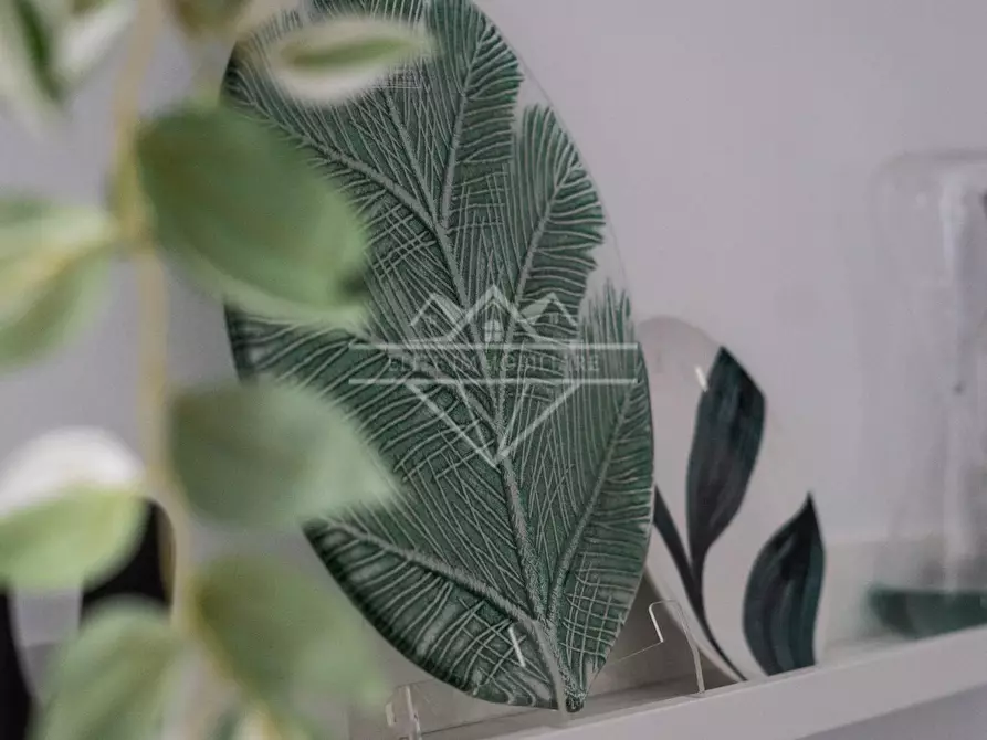 Immagine 44 di Appartamento in vendita  a Carrara