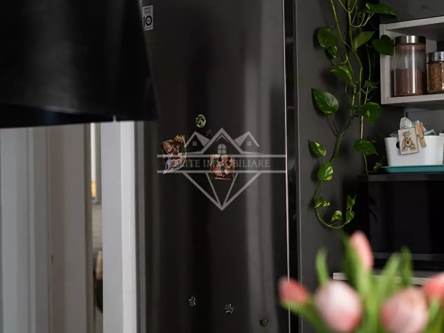 Immagine 46 di Appartamento in vendita  a Carrara