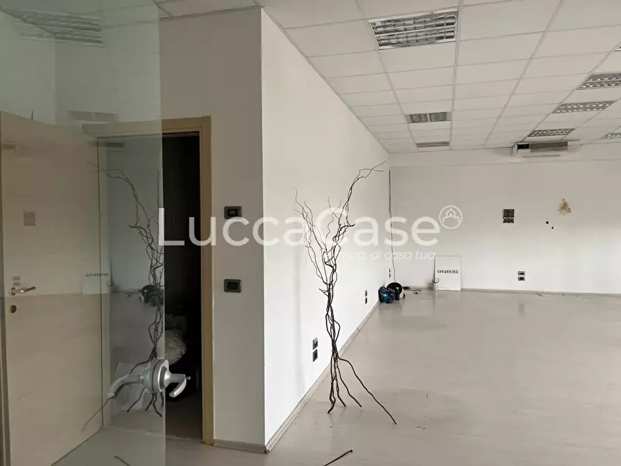 Immagine 1 di Attività artigianale in vendita  a Lucca