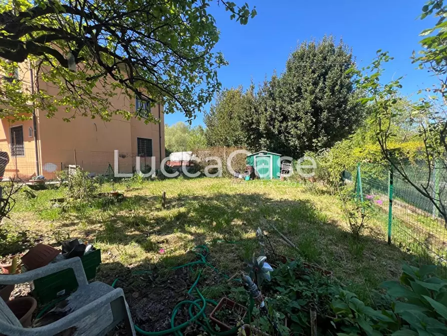 Immagine 27 di Terratetto in vendita  a Lucca