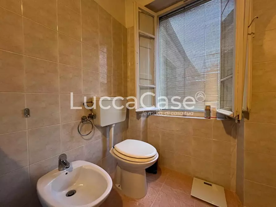 Immagine 14 di Terratetto in vendita  a Lucca