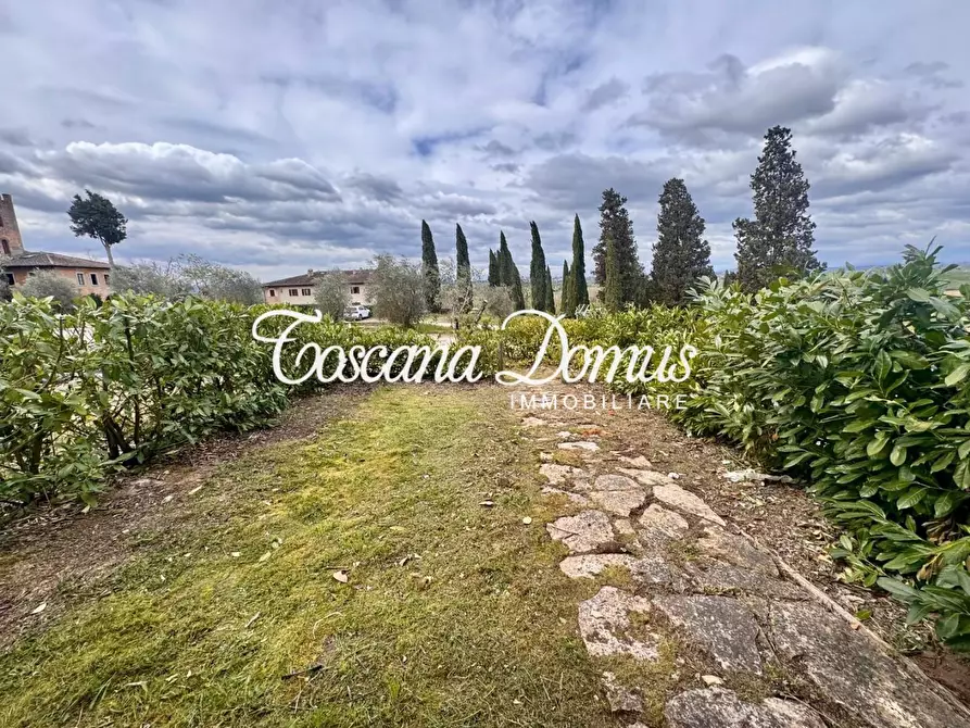 Immagine 1 di Terratetto in vendita  a Asciano