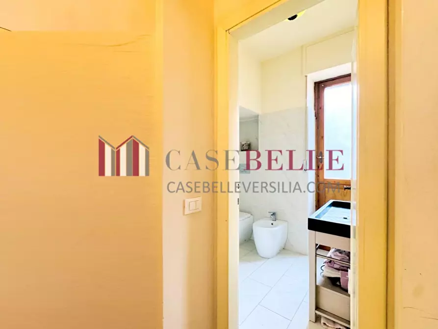 Immagine 32 di Appartamento in affitto  a Camaiore