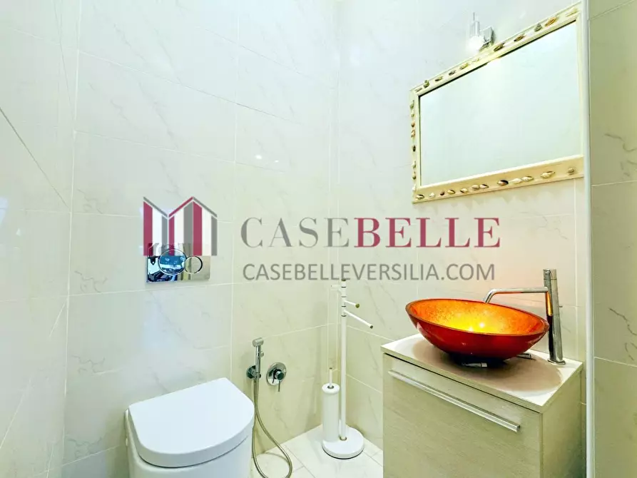 Immagine 21 di Appartamento in affitto  a Camaiore