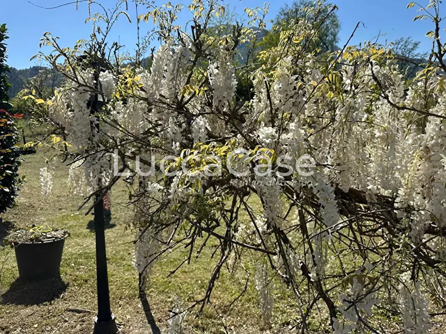Immagine 30 di Terratetto in vendita  a Barga