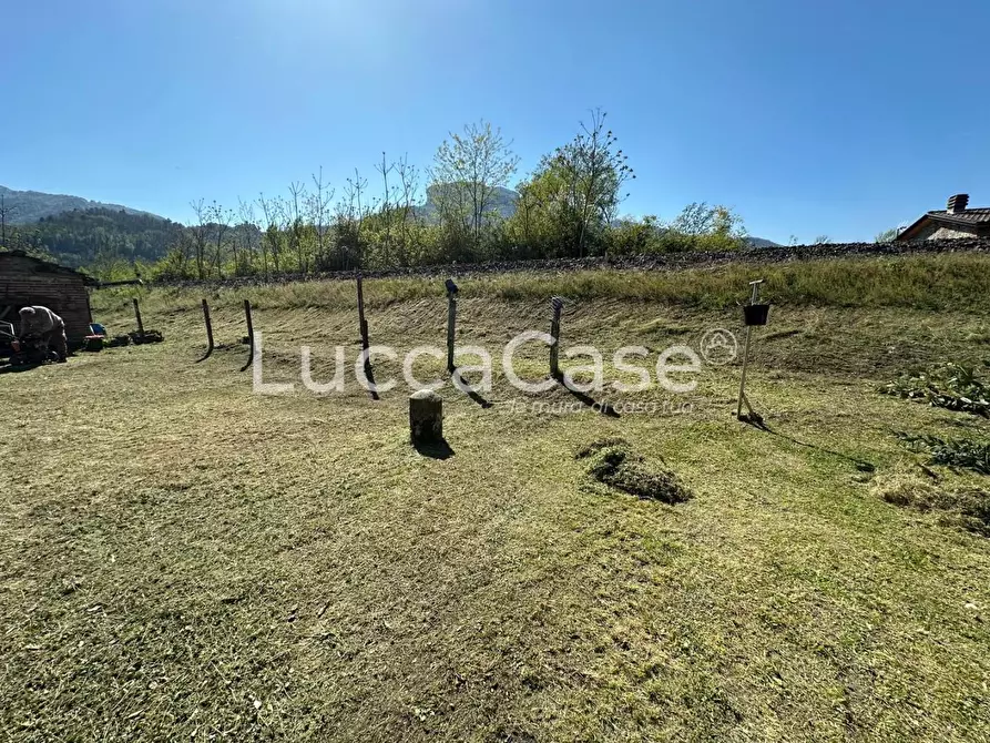 Immagine 35 di Terratetto in vendita  a Barga