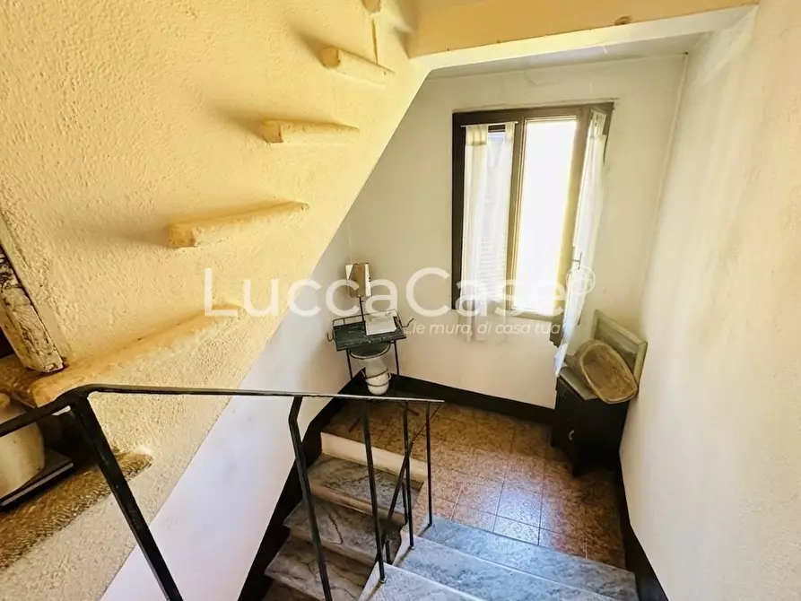 Immagine 7 di Terratetto in vendita  a Barga