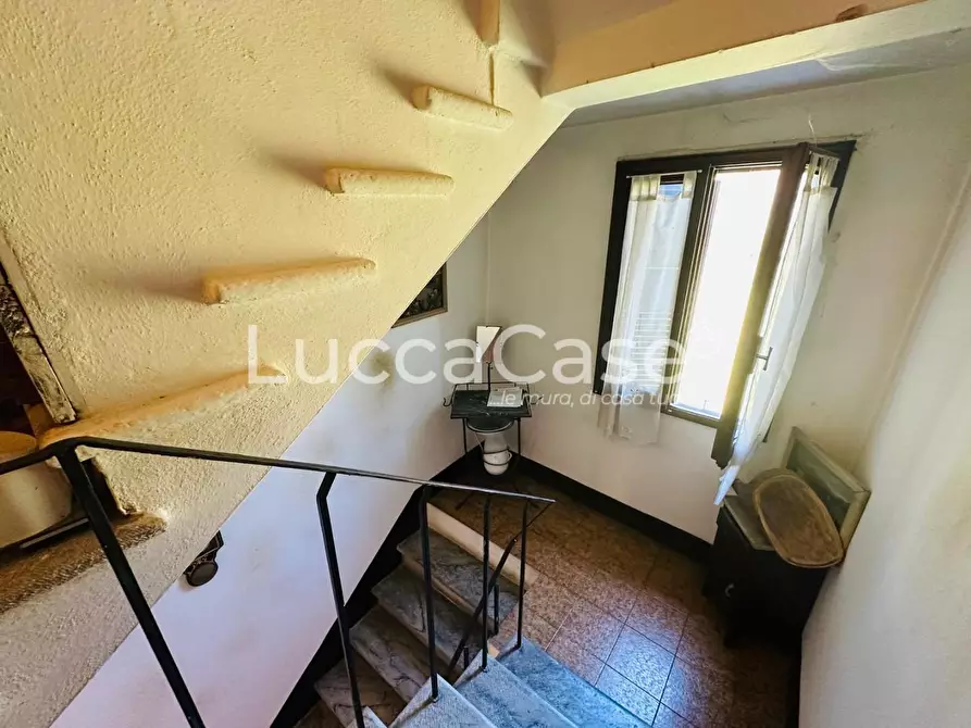 Immagine 22 di Terratetto in vendita  a Barga