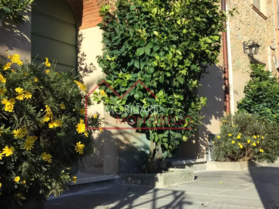 Immagine 1 di Casa colonica in vendita  a Camaiore