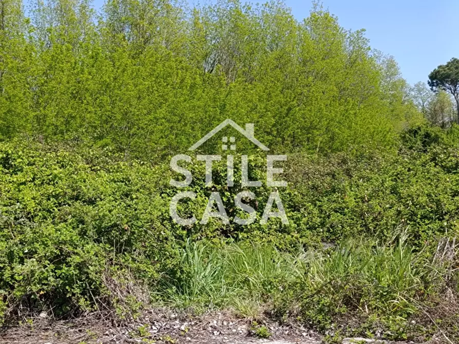 Immagine 1 di Terreno residenziale in vendita  a Castelfranco Di Sotto