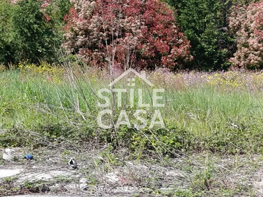 Immagine 3 di Terreno residenziale in vendita  a Castelfranco Di Sotto