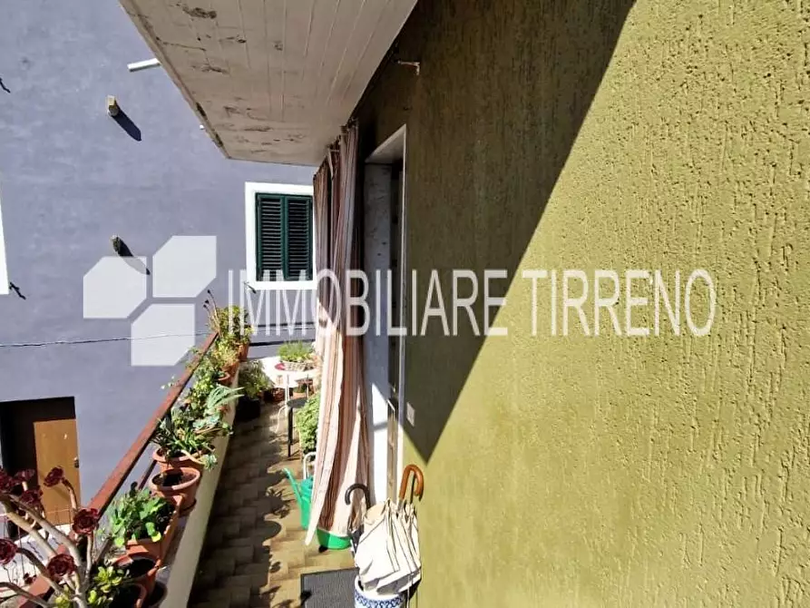Immagine 12 di Terratetto in vendita  a Massa