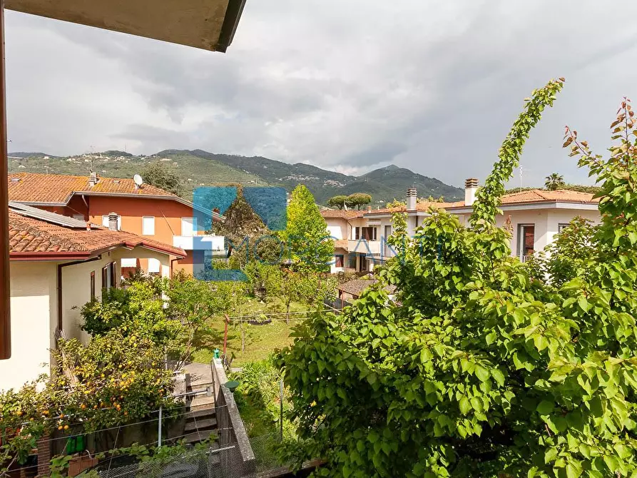 Immagine 23 di Casa bifamiliare in vendita  a Pietrasanta