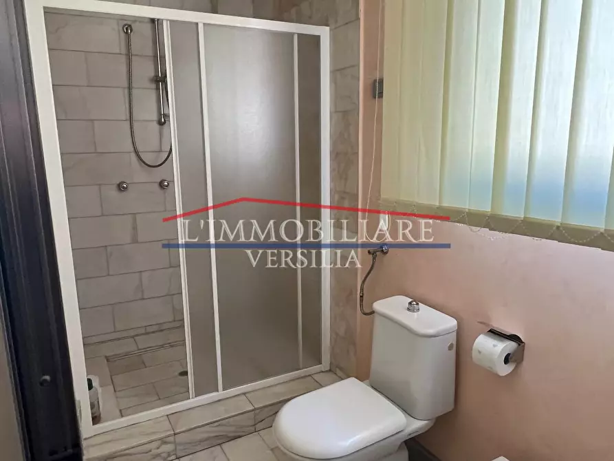 Immagine 24 di Capannone industriale in vendita  a Montignoso