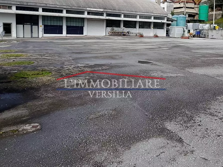 Immagine 13 di Capannone industriale in vendita  a Montignoso