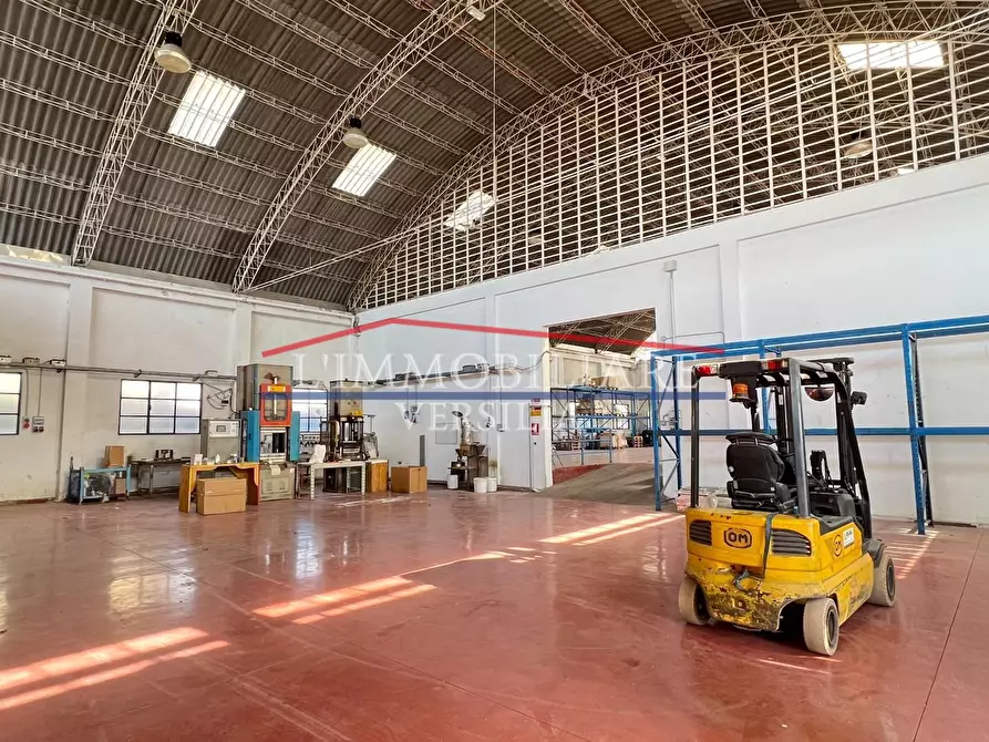 Immagine 4 di Capannone industriale in vendita  a Montignoso