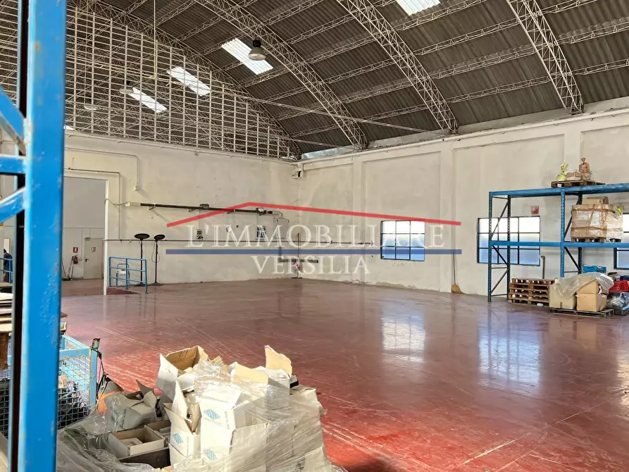 Immagine 11 di Capannone industriale in vendita  a Montignoso