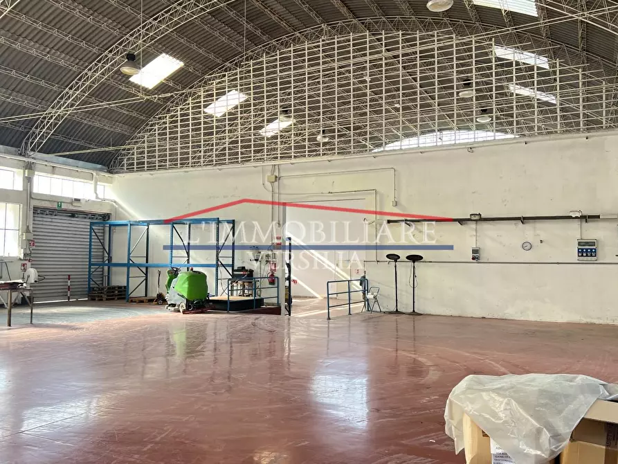 Immagine 9 di Capannone industriale in vendita  a Montignoso