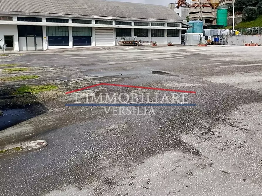 Immagine 7 di Capannone industriale in vendita  a Montignoso