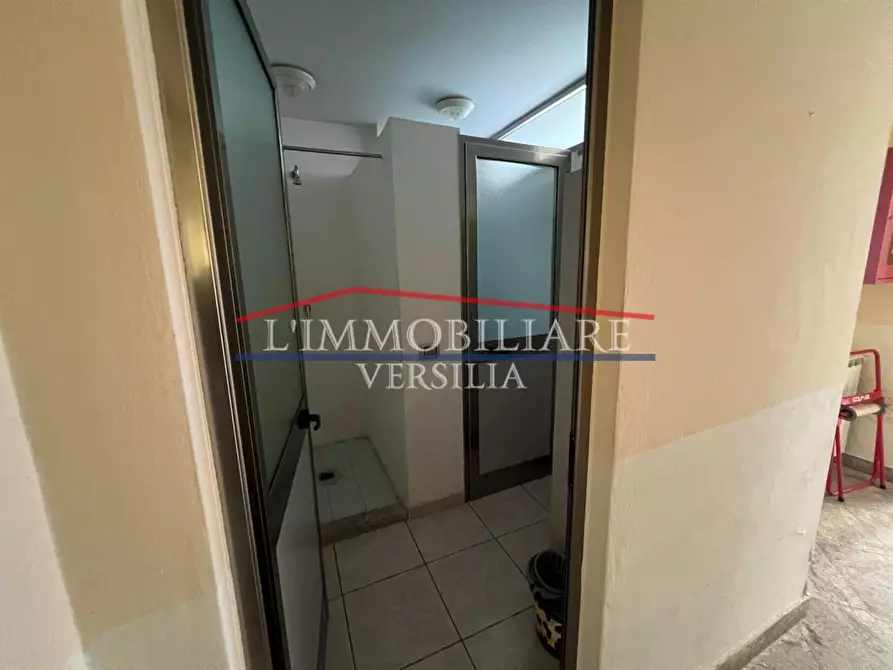 Immagine 25 di Capannone industriale in vendita  a Montignoso