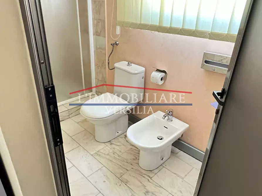 Immagine 23 di Capannone industriale in vendita  a Montignoso