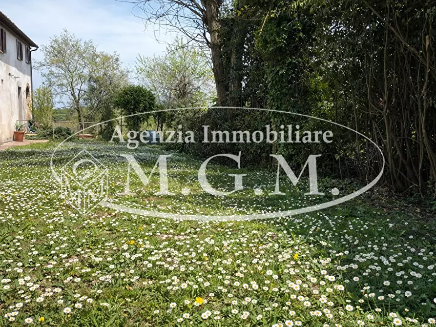 Immagine 31 di Casa semindipendente in vendita  a Pontedera