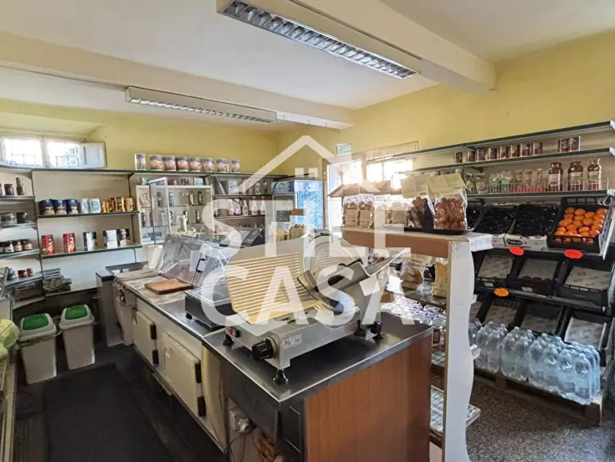 Immagine 67 di Casa indipendente in vendita  a Capannori