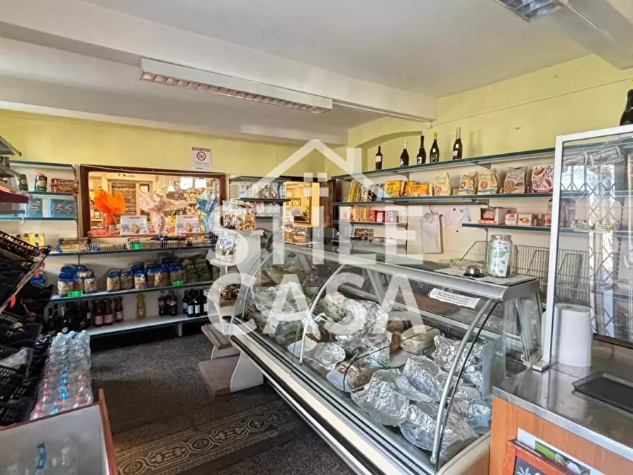 Immagine 66 di Casa indipendente in vendita  a Capannori