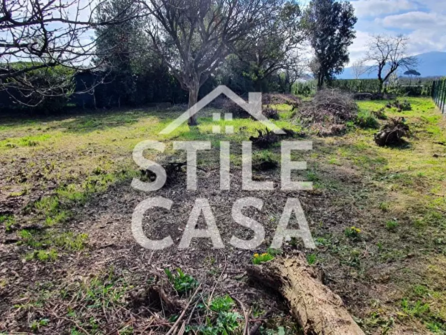 Immagine 3 di Deposito in vendita  a Lucca