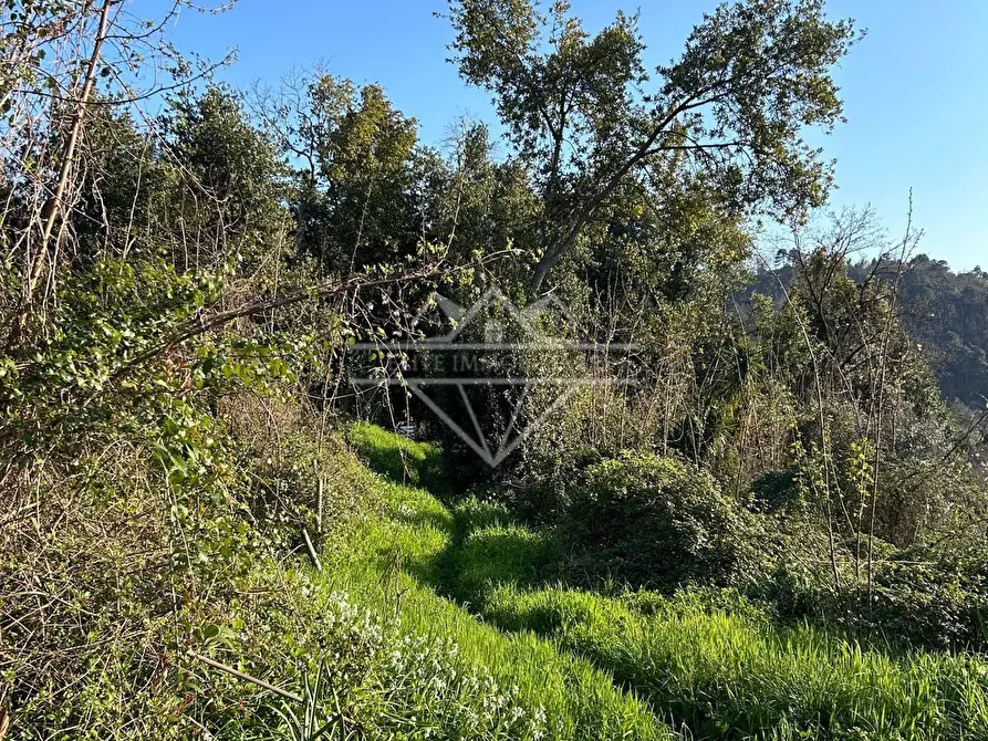 Immagine 3 di Casa colonica in vendita  a Carrara