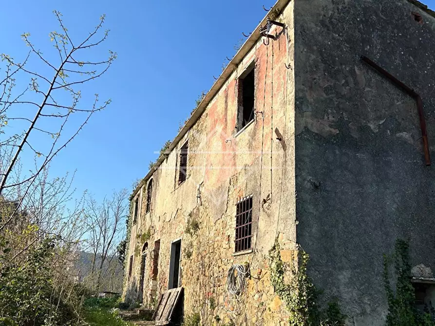 Immagine 2 di Casa colonica in vendita  a Carrara