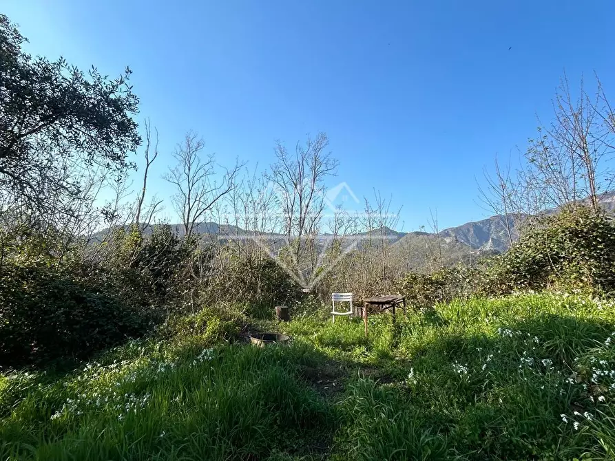 Immagine 5 di Casa colonica in vendita  a Carrara