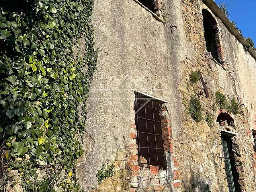 Immagine 6 di Casa colonica in vendita  a Carrara