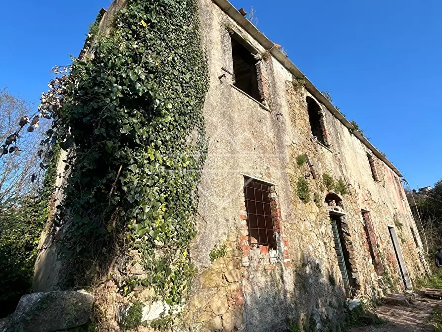 Immagine 4 di Casa colonica in vendita  a Carrara
