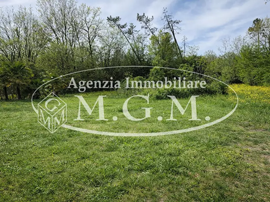 Immagine 34 di Casa semindipendente in vendita  a Pontedera