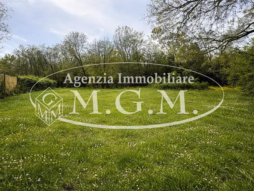 Immagine 32 di Casa semindipendente in vendita  a Pontedera