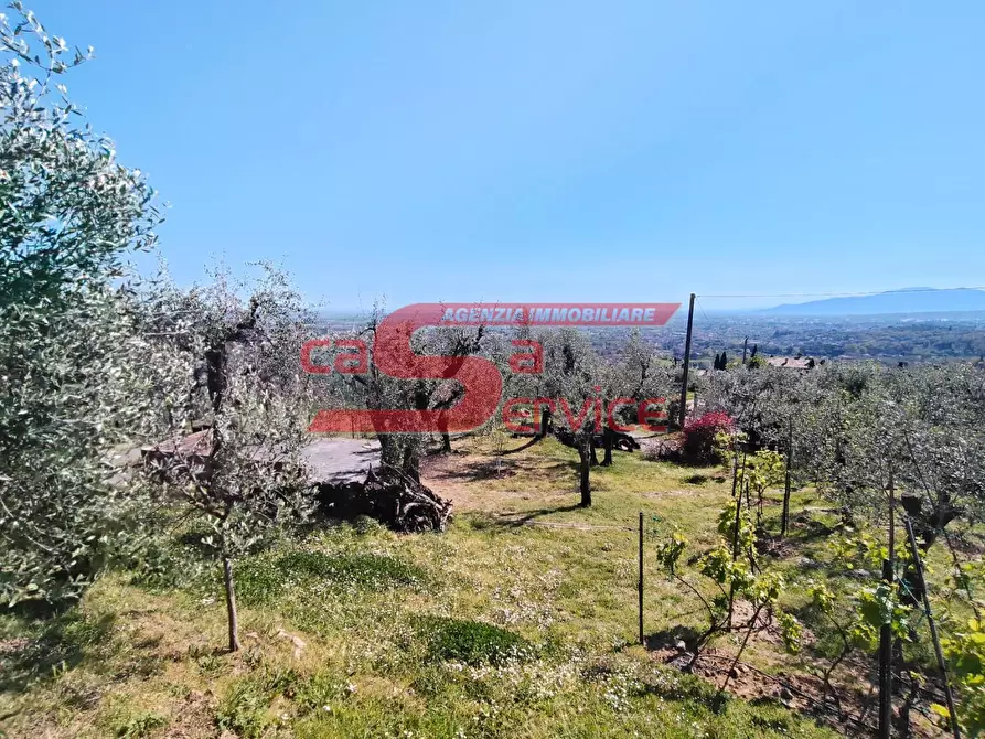 Immagine 19 di Casa indipendente in vendita  a Massa E Cozzile