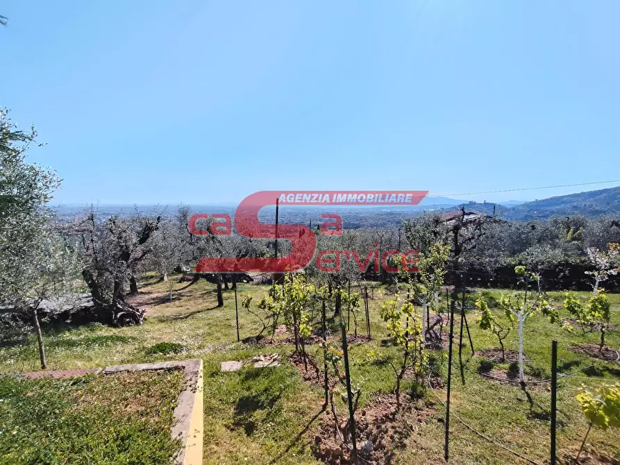 Immagine 18 di Casa indipendente in vendita  a Massa E Cozzile