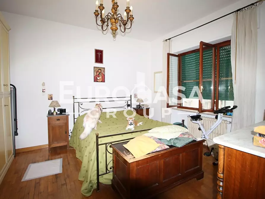 Immagine 6 di Appartamento in vendita  a Lucca