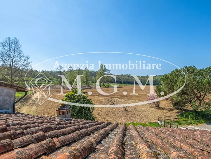 Immagine 19 di Appartamento in vendita  a Calcinaia