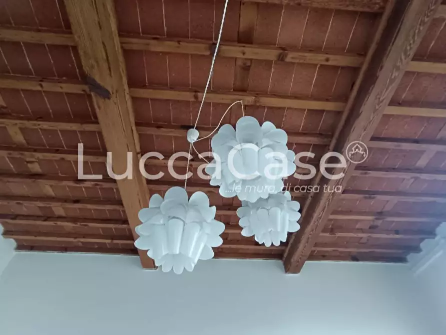 Immagine 16 di Locale commerciale in affitto  a Lucca