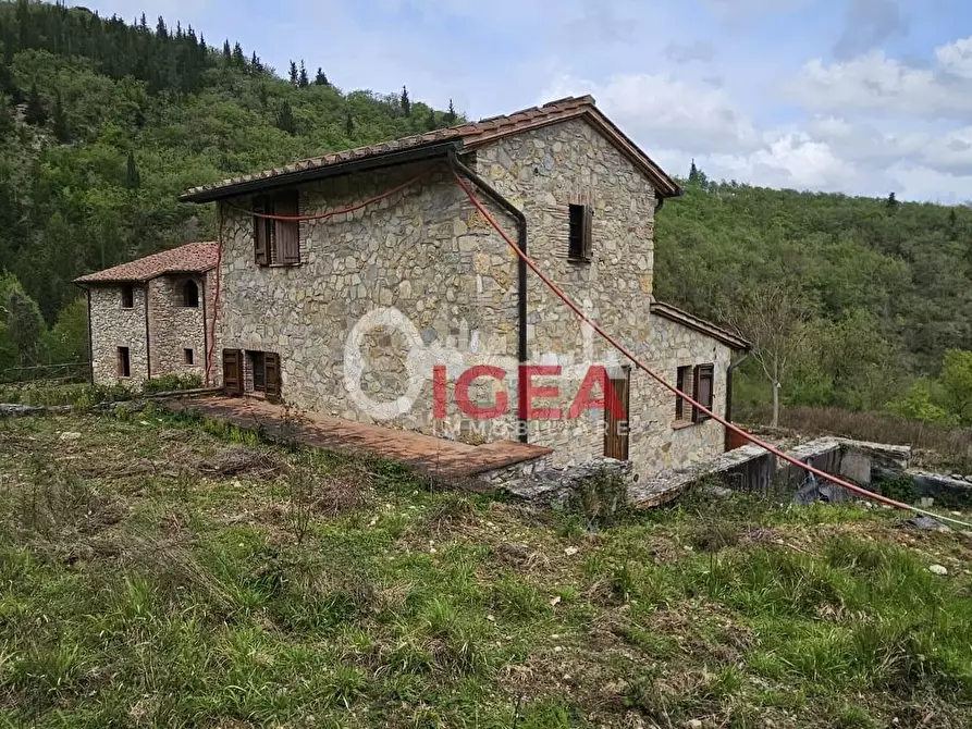 Immagine 4 di Terratetto in vendita  a Castellina In Chianti