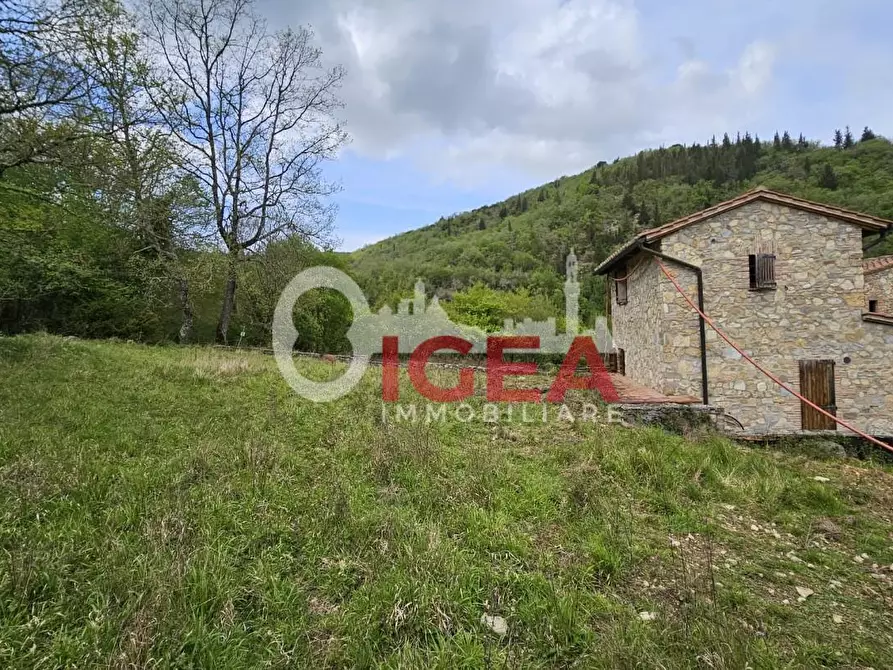 Immagine 5 di Terratetto in vendita  a Castellina In Chianti