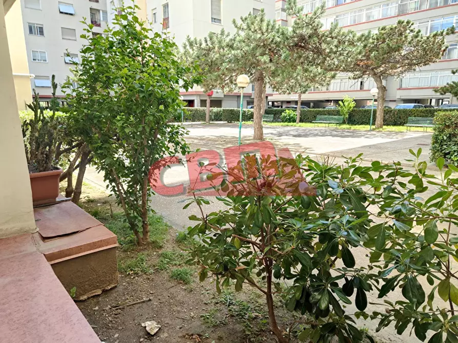 Immagine 46 di Appartamento in vendita  a Livorno